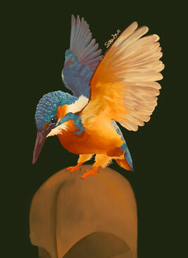 The Sacred Kingerfisher