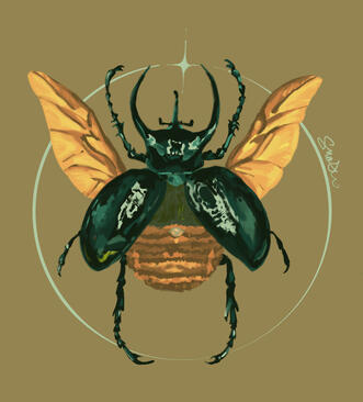 Winged Beetle